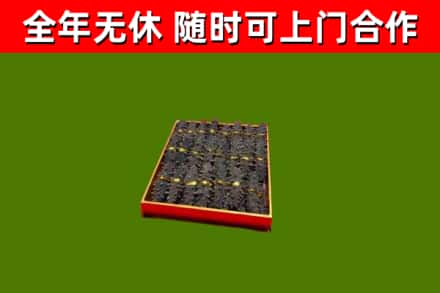 红安县回收海参